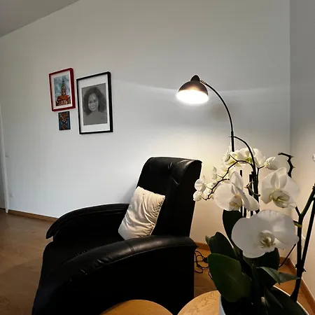 Modern Lakeview In Baveno